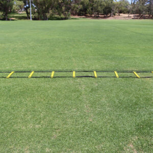 Mitre 4m Agility Ladder Fixed